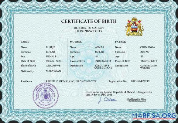 Printable Malawi vital record birth certificate PSD template